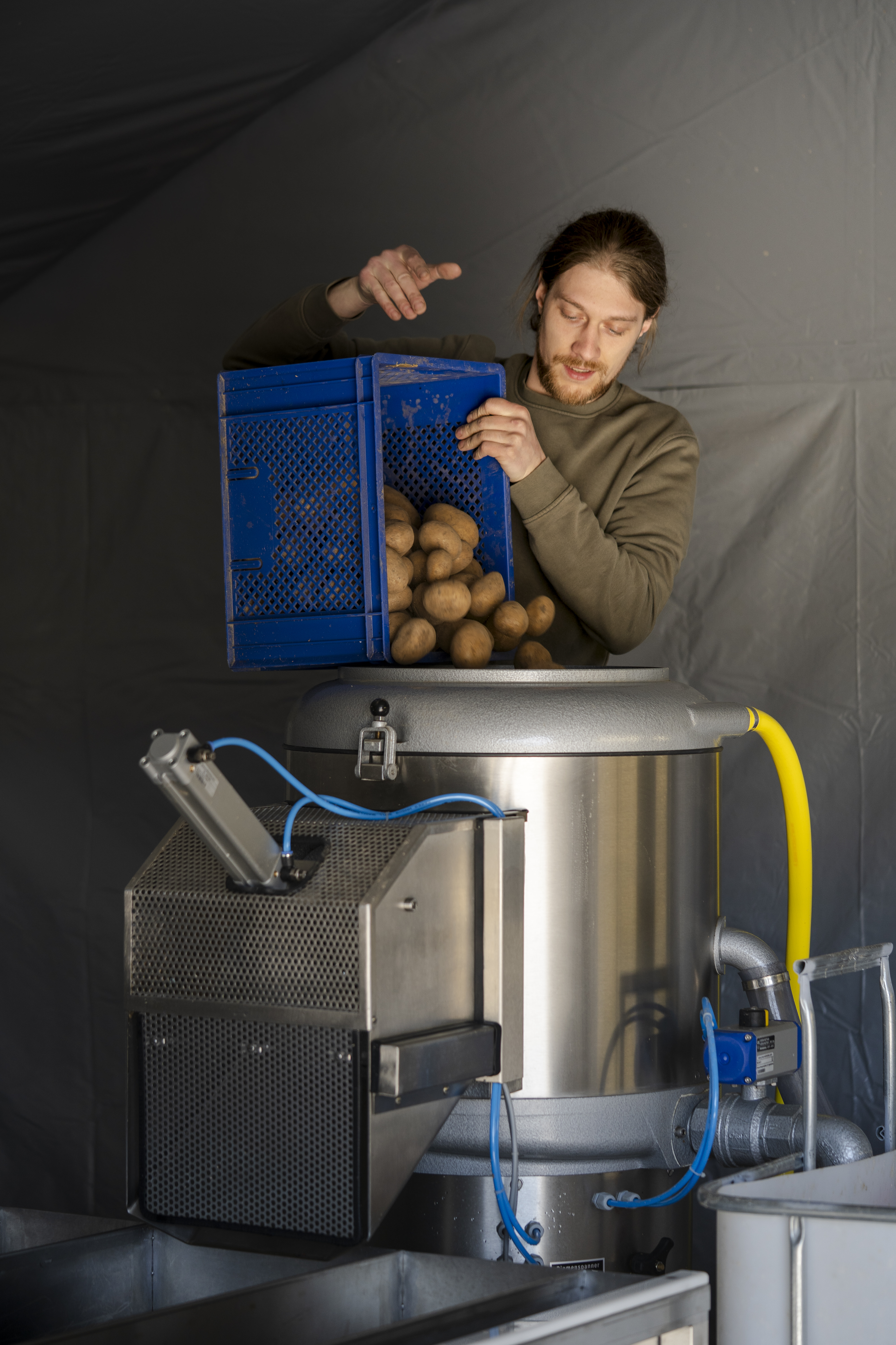 Bio-Kartoffeln Nahaufnahme