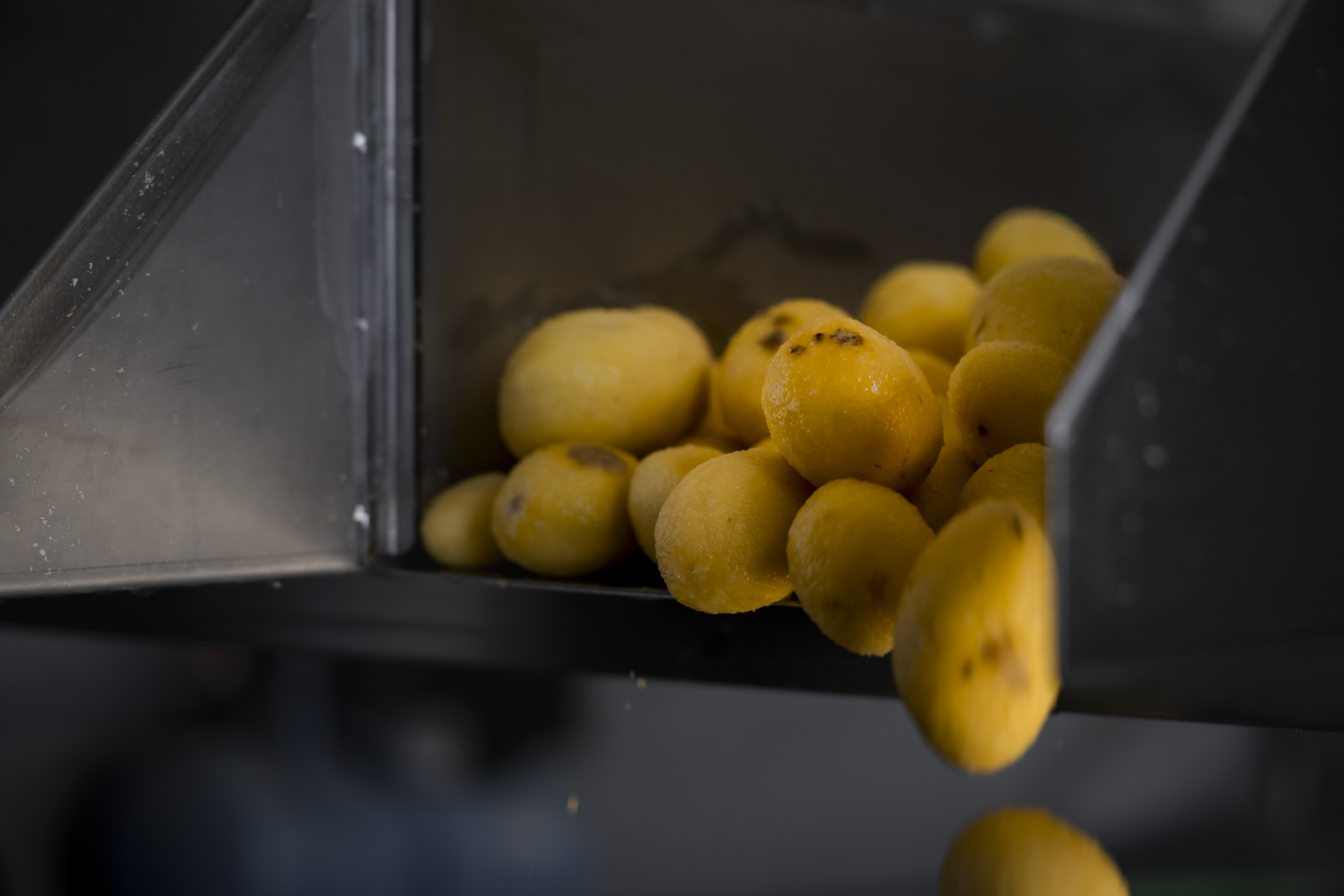 Abgepackte Bio-Kartoffeln im Sack