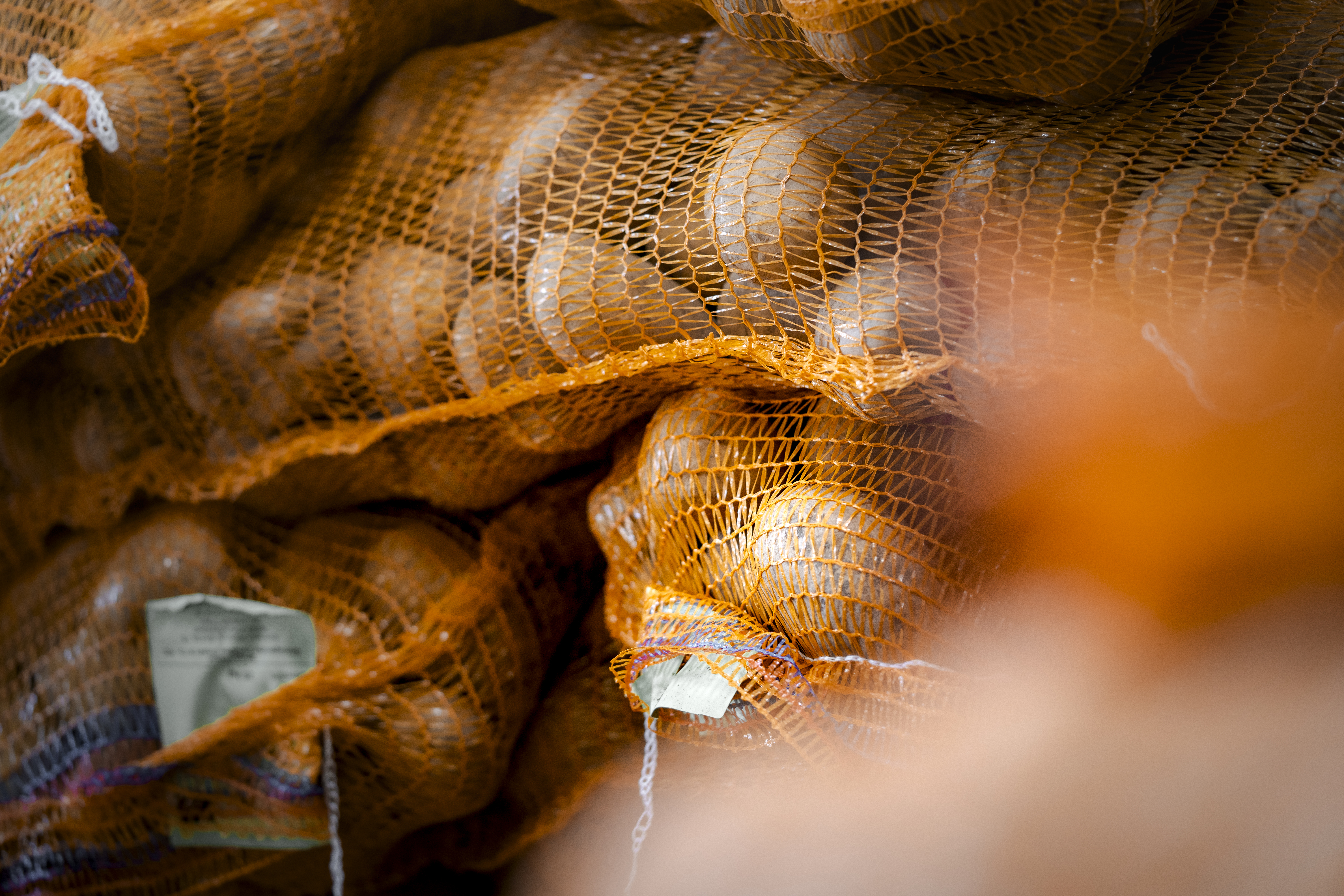 Qualitätskontrolle im Schälbetrieb